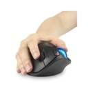 Mouse KENSINGTON K72194WW — 2