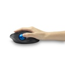 Mouse KENSINGTON K72194WW — 3