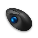 Mouse KENSINGTON K72194WW — 4