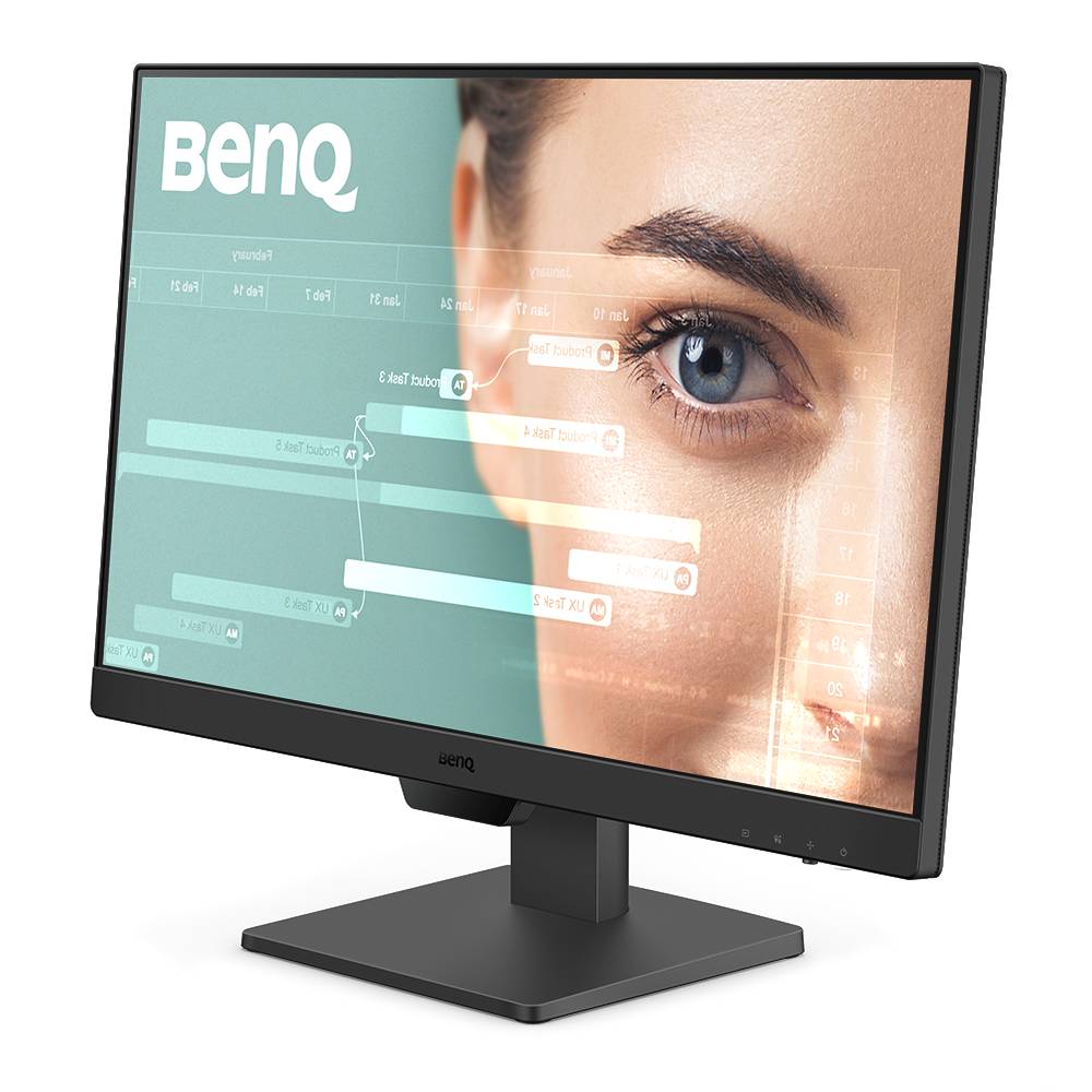 BENQ GW2491