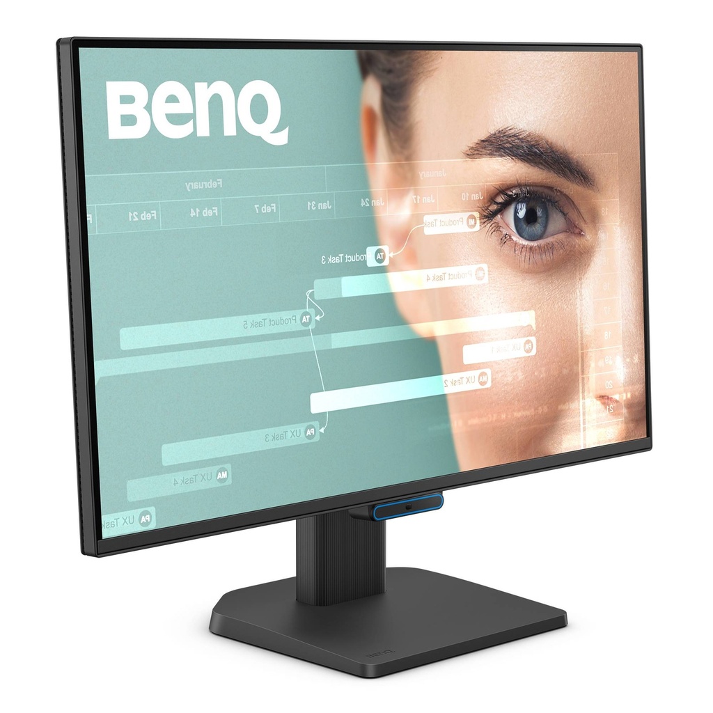 BENQ GW2490C