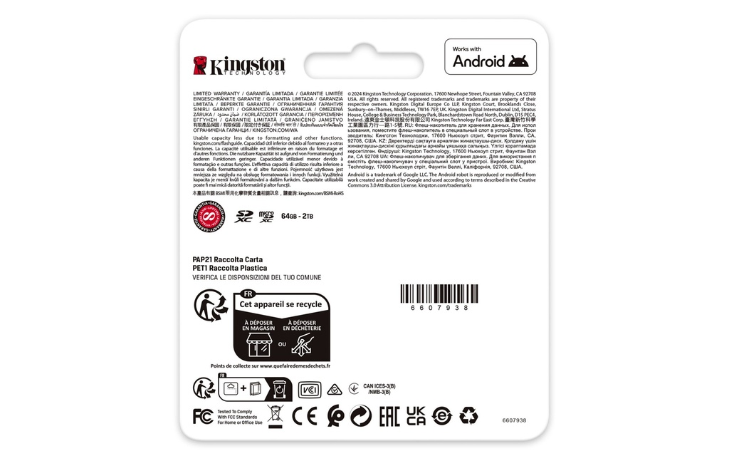 Memorias Flash Kingston Technology CANVAS GO PLUS GEN 4 — 6